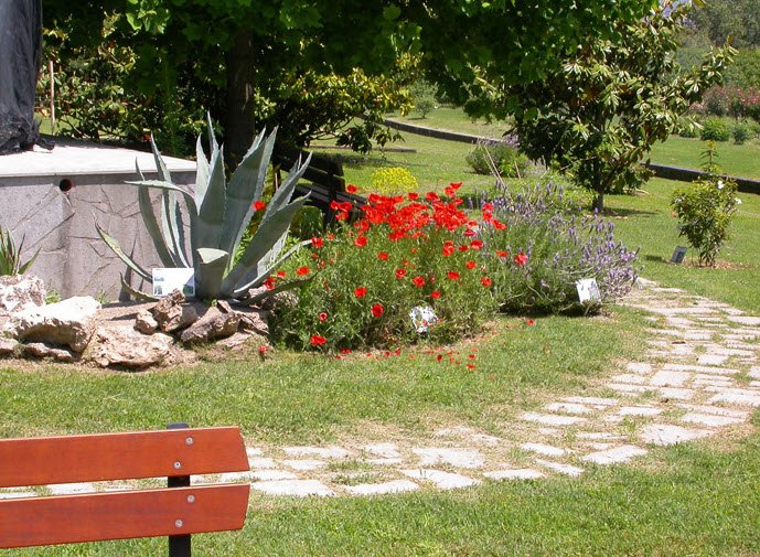 Botanical Garden "Angelo Rambelli", Italy